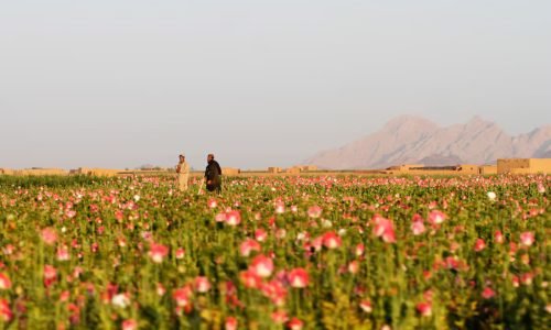 Poison people and make billions